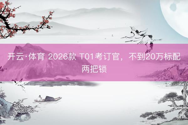 开云·体育 2026款 T01考订官，不到20万标配两把锁