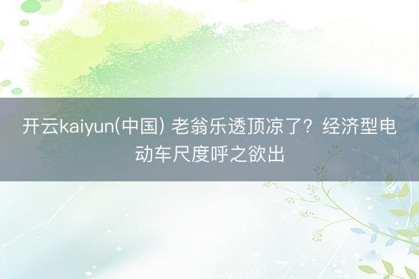 开云kaiyun(中国) 老翁乐透顶凉了？经济型电动车尺度呼之欲出