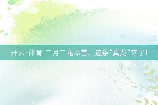 开云·体育 二月二龙昂首，这条“真龙”来了！