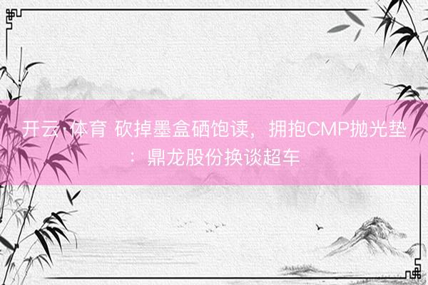 开云·体育 砍掉墨盒硒饱读，拥抱CMP抛光垫：鼎龙股份换谈超车