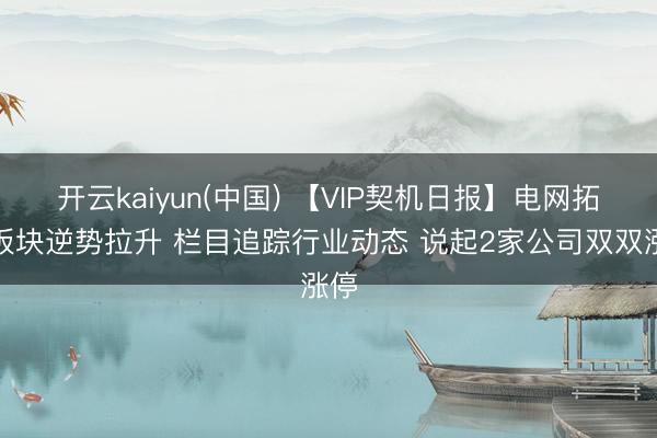 开云kaiyun(中国) 【VIP契机日报】电网拓荒板块逆势拉升 栏目追踪行业动态 说起2家公司双双涨停