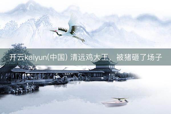 开云kaiyun(中国) 清远鸡大王，被猪砸了场子