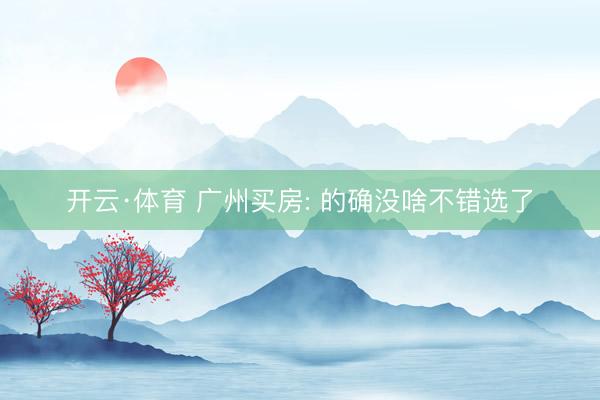 开云·体育 广州买房: 的确没啥不错选了