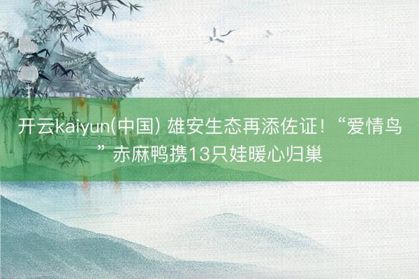 开云kaiyun(中国) 雄安生态再添佐证！“爱情鸟” 赤麻鸭携13只娃暖心归巢