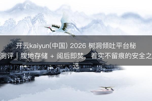开云kaiyun(中国) 2026 树洞倾吐平台秘籍测评｜腹地存储 + 阅后即焚，着实不留痕的安全之选