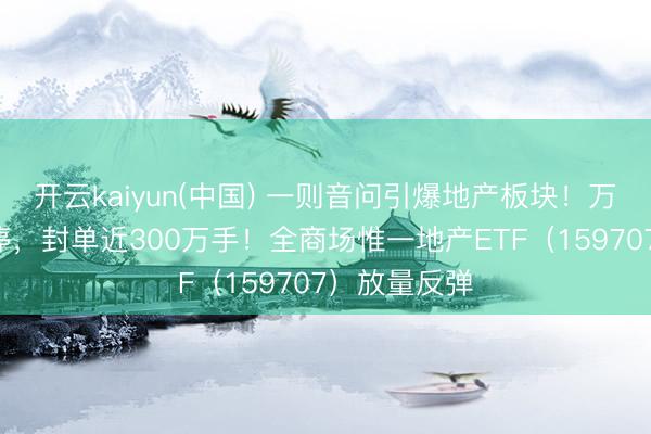 开云kaiyun(中国) 一则音问引爆地产板块！万科A萧瑟涨停，封单近300万手！全商场惟一地产ETF（159707）放量反弹