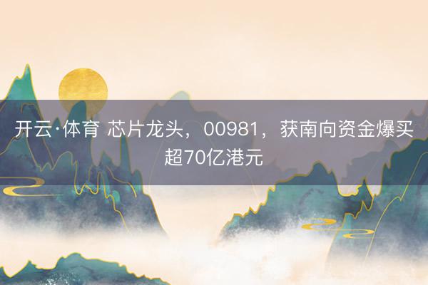 开云·体育 芯片龙头，00981，获南向资金爆买超70亿港元