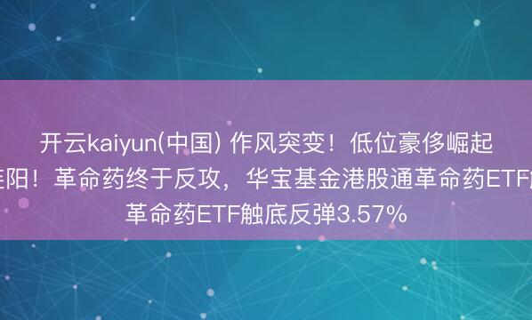 开云kaiyun(中国) 作风突变!低位豪侈崛起,电力逆市六连阳!革命药终于反攻,华宝基金港股通革命药ETF触底反弹3.57%