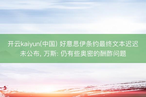 开云kaiyun(中国) 好意思伊条约最终文本迟迟未公布， 万斯: 仍有些奥密的酬酢问题