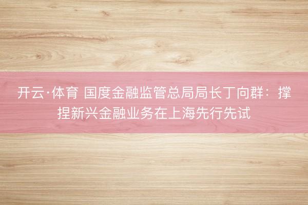 开云·体育 国度金融监管总局局长丁向群：撑捏新兴金融业务在上海先行先试